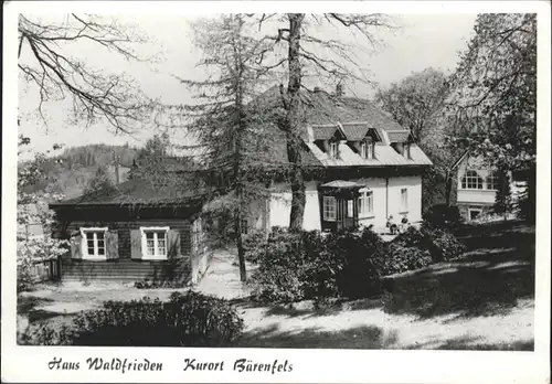 Baerenfels Erzgebirge Haus Waldfrieden / Altenberg /Saechsische Schweiz-Osterzgebirge LKR