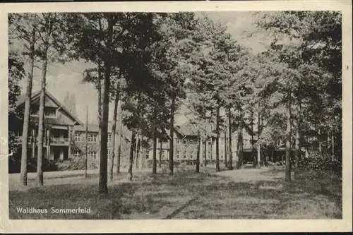 Sommerfeld Leipzig Waldhaus / Leipzig /Leipzig Stadtkreis