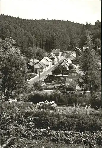 Tanne Harz Waldstrasse / Tanne Harz /Harz LKR