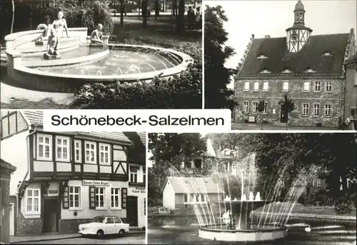 Schoenebeck Elbe Wasserspiele Springbrunnen Kreismuseum Rosmarienstrasse Schwanenteich / Schoenebeck /Salzlandkreis LKR