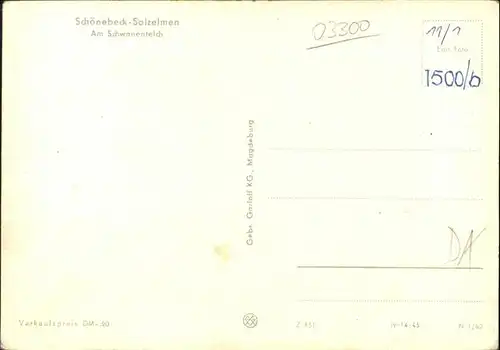 Schoenebeck Elbe Schwanenteich / Schoenebeck /Salzlandkreis LKR