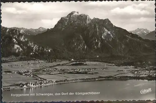 Schwangau Fliegeraufnahme Forggensee  / Schwangau /Ostallgaeu LKR