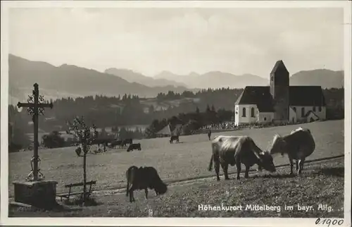 Mittelberg Oy Kuehe / Oy-Mittelberg /Oberallgaeu LKR