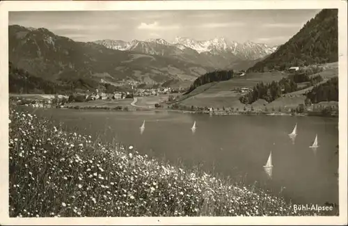 Buehl Alpsee  / Immenstadt i.Allgaeu /Oberallgaeu LKR