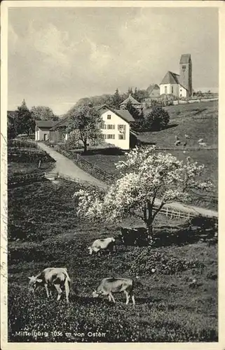 Mittelberg Oy  / Oy-Mittelberg /Oberallgaeu LKR