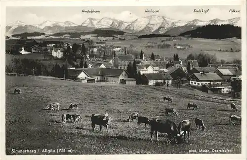 Simmerberg Kuehe / Weiler-Simmerberg /Lindau LKR