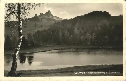 Flossenbuerg Gaisweiher
Ruine Flossenbuerg / Flossenbuerg /Neustadt Waldnaab LKR