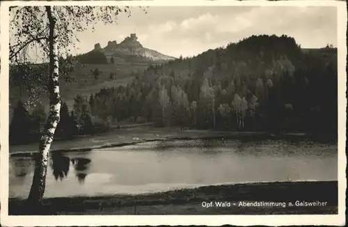 Flossenbuerg Gaisweiher / Flossenbuerg /Neustadt Waldnaab LKR