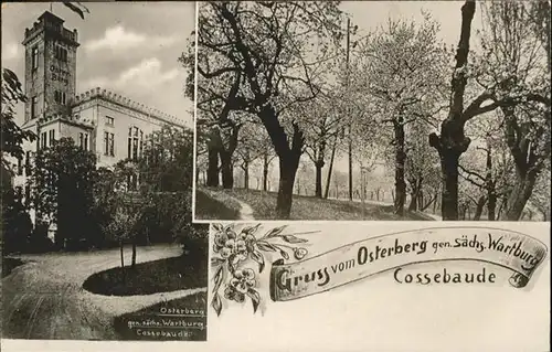 Cossebaude Osterberg / Dresden /Dresden Stadtkreis