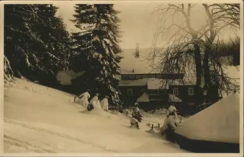 Kipsdorf  / Altenberg /Saechsische Schweiz-Osterzgebirge LKR