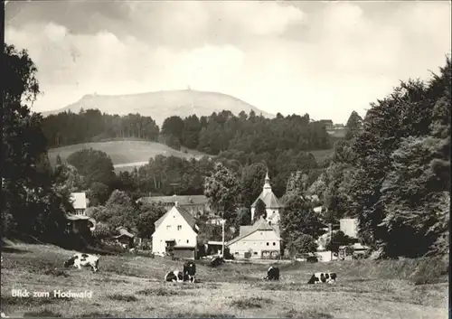 Lueckendorf Hochwald x