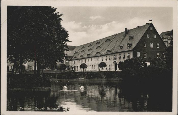 Gelenau Erzgebirge Gelenau Rathaus Schwan Teich x / Gelenau Erzgebirge