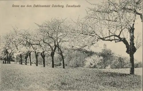 Cossebaude Etablissement Osterberg *