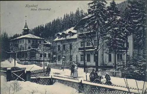 Kipsdorf Kipsdorf Hotel Fuerstenhof * / Altenberg /Saechsische Schweiz-Osterzgebirge LKR