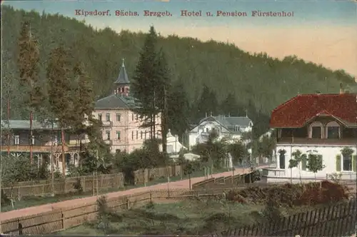 Kipsdorf Erzgebirge Hotel Pension Fuerstenhof *