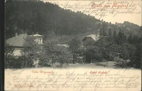 Kipsdorf Kipsdorf Villa Weyrauch Hotel Halali x / Altenberg /Saechsische Schweiz-Osterzgebirge LKR