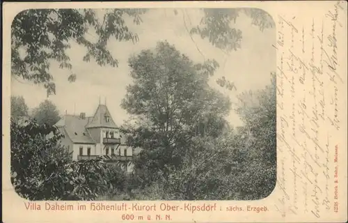 Kipsdorf Kipsdorf Oberkipsdorf Erzgebirge Villa Daheim x / Altenberg /Saechsische Schweiz-Osterzgebirge LKR