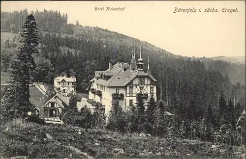 Baerenfels Erzgebirge Hotel Kaiserhof x