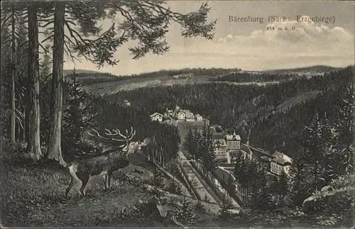 Baerenfels Erzgebirge Hirsch x