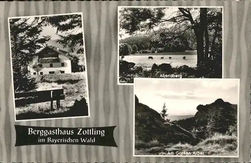 Ruhmannsfelden Berggasthaus Pension Zottling Abendberg