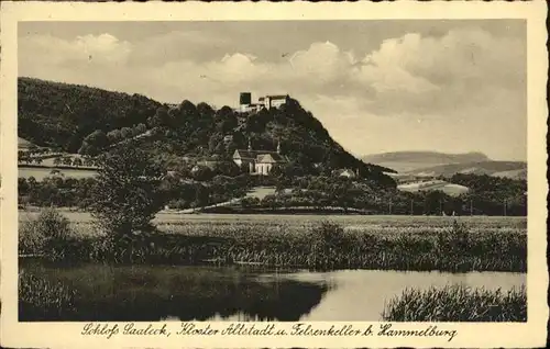 Hammelburg Schloss Saaleck Kloster Altstadt Felsenkeller