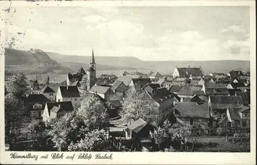 Hammelburg Schloss Saaleck