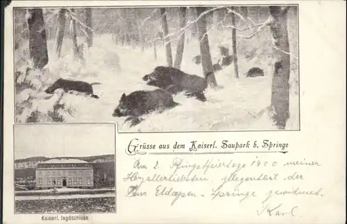 Springe Deister Jagdschloss Saupark Wildschwein *