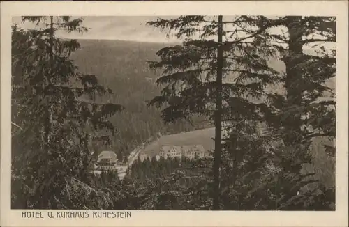 Ruhestein Hotel und Kurhaus Ruhestein