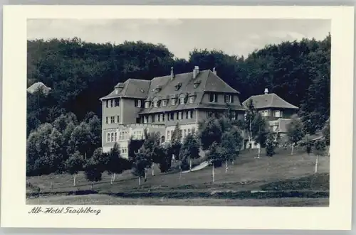 Traifelberg Albhotel *