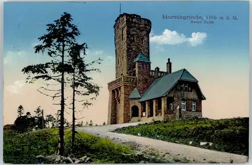 Hornisgrinde Turm x