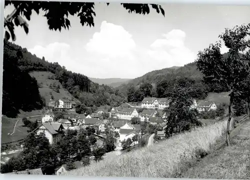Bad Peterstal-Griesbach  *