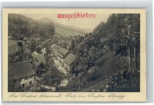 Bad Peterstal-Griesbach Kaufhaus Schrempp Stempel auf AK *