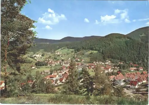 Schenkenzell  *