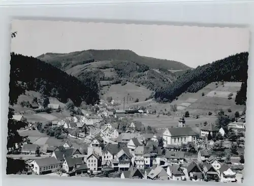 Schenkenzell  *