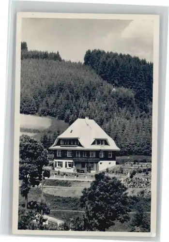 Neustadt Titisee Neustadt Titisee Pension Haus Sonnhalde * / Titisee-Neustadt /Breisgau-Hochschwarzwald LKR