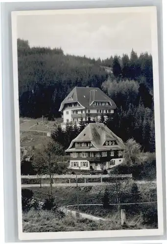 Neustadt Titisee Neustadt Titisee Pension Haus Sonnhalde * / Titisee-Neustadt /Breisgau-Hochschwarzwald LKR