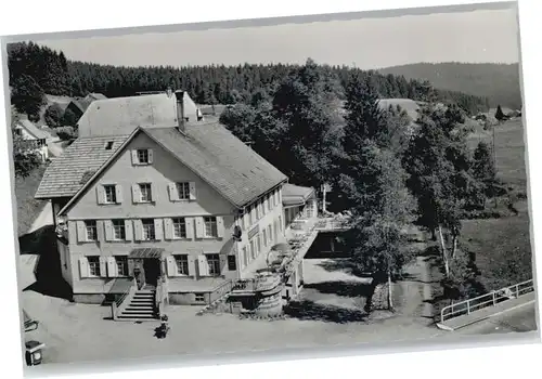 Eisenbach Schwarzwald Gasthof Pension Bad *