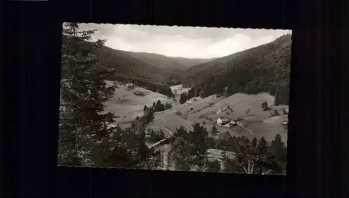 Mitteltal Jlgenbachtal *