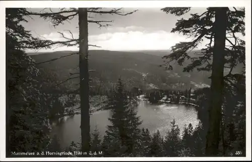 Hornisgrinde Mummelsee *