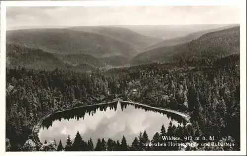 Ruhestein Wildsee *