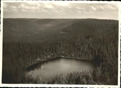 Ruhestein Wildsee *