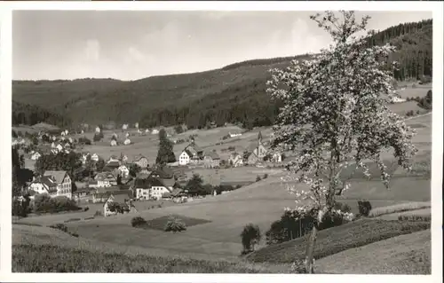 Obertal Baiersbronn Obertal Freudenstadt Hotel Pension Adler * / Baiersbronn /Freudenstadt LKR