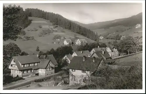 Obertal Baiersbronn Obertal Freudenstadt Gasthaus Pension Schwanen * / Baiersbronn /Freudenstadt LKR