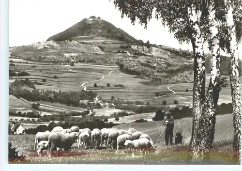 Hohenstaufen  *