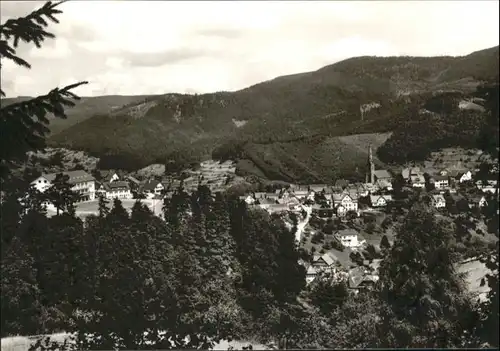 Bermersbach Forbach Gasthaus Pension Sternen Gaestehaus Elise *