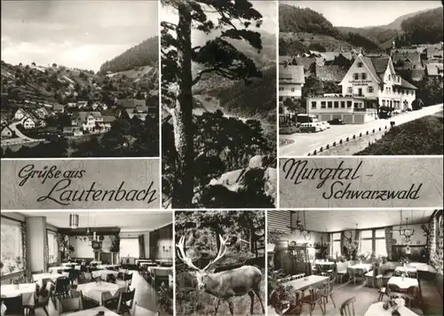 Lautenbach Gernsbach Gasthof Pension Lautenfelsen *