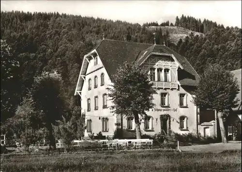 Bleibach Pension Schwarzwaelder Hof *