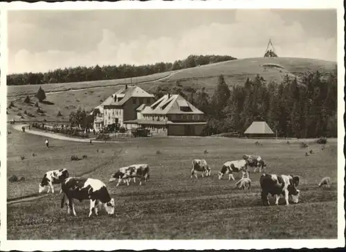 Kandel Waldkirch Breisgau Hotel Kandel *