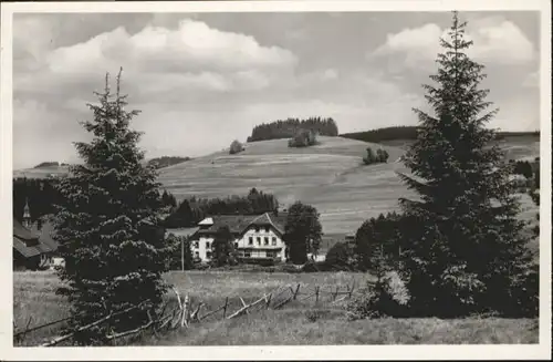 Breitnau Steig Gasthaus Pension Ravennaschlucht *