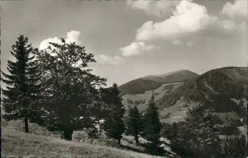 Wieden Schwarzwald Belchen *